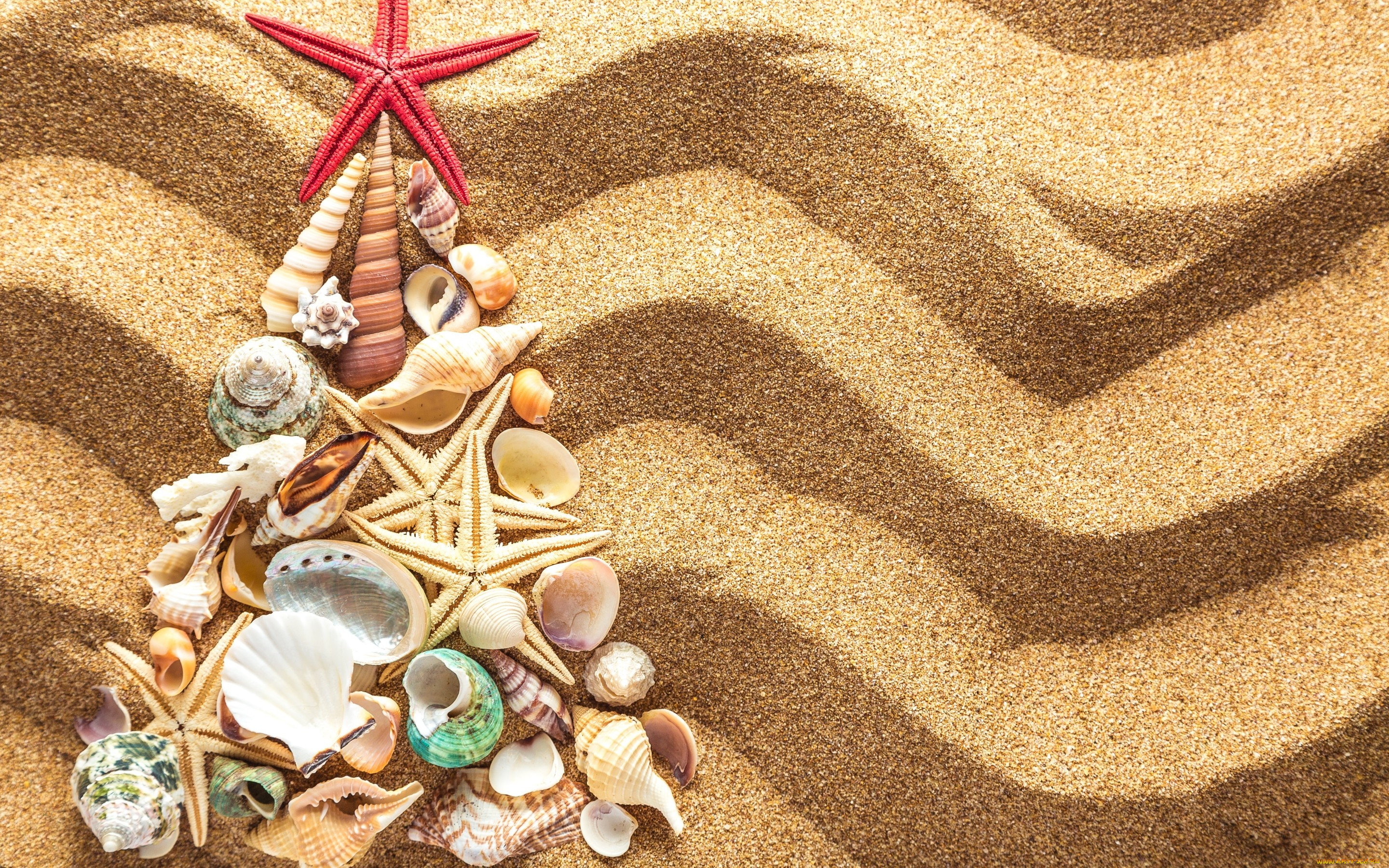 , ,  ,    spa-, , tree, christmas, beach, seashells, sand, , , , 